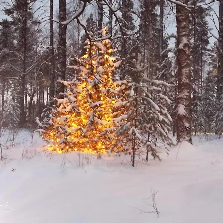 Immalanjaervi Hotel *