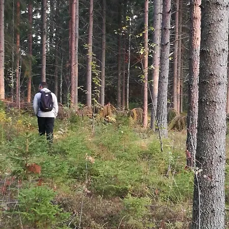 Immalanjaervi Hotel Imatra