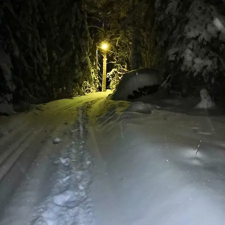 Immalanjaervi 호텔 이마트라