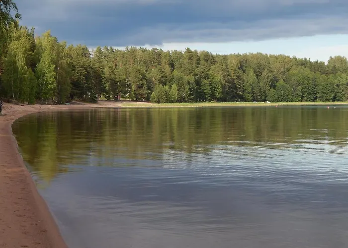 Hotel Immalanjaervi *