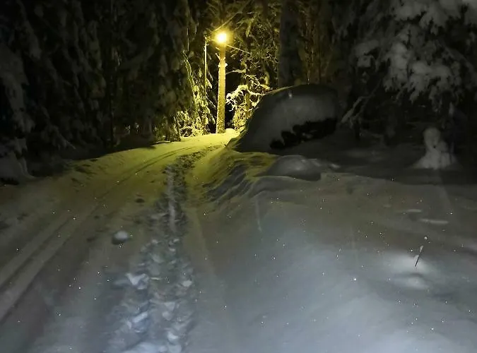 Immalanjaervi Hotel Imatra